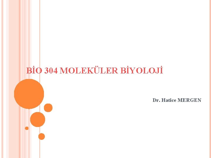 BİO 304 MOLEKÜLER BİYOLOJİ Dr. Hatice MERGEN 