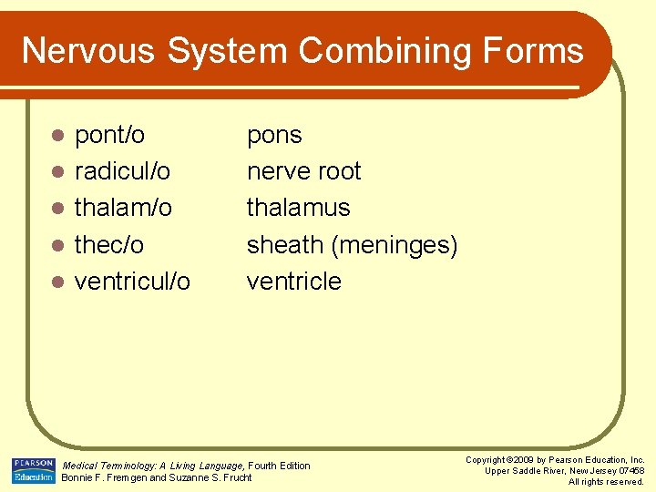 Nervous System Combining Forms l l l pont/o radicul/o thalam/o thec/o ventricul/o pons nerve