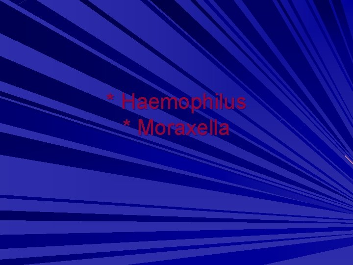 * Haemophilus * Moraxella 