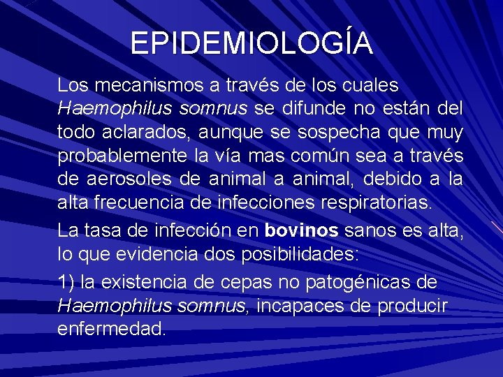 EPIDEMIOLOGÍA Los mecanismos a través de los cuales Haemophilus somnus se difunde no están