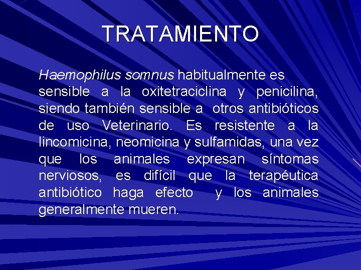 TRATAMIENTO Haemophilus somnus habitualmente es sensible a la oxitetraciclina y penicilina, siendo también sensible