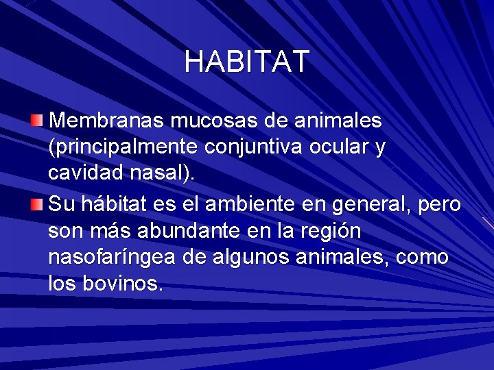 HABITAT Membranas mucosas de animales (principalmente conjuntiva ocular y cavidad nasal). Su hábitat es