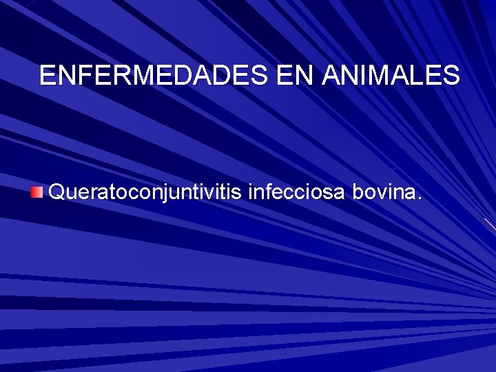 ENFERMEDADES EN ANIMALES Queratoconjuntivitis infecciosa bovina. 