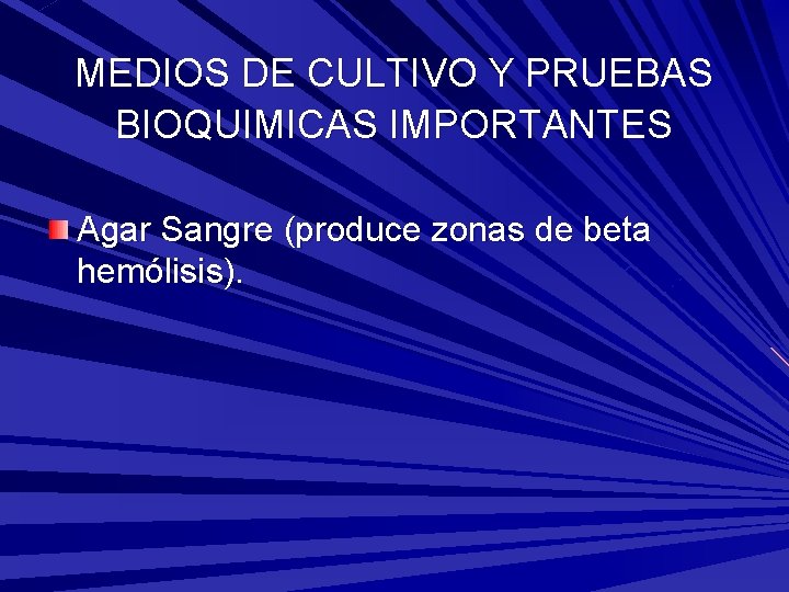 MEDIOS DE CULTIVO Y PRUEBAS BIOQUIMICAS IMPORTANTES Agar Sangre (produce zonas de beta hemólisis).