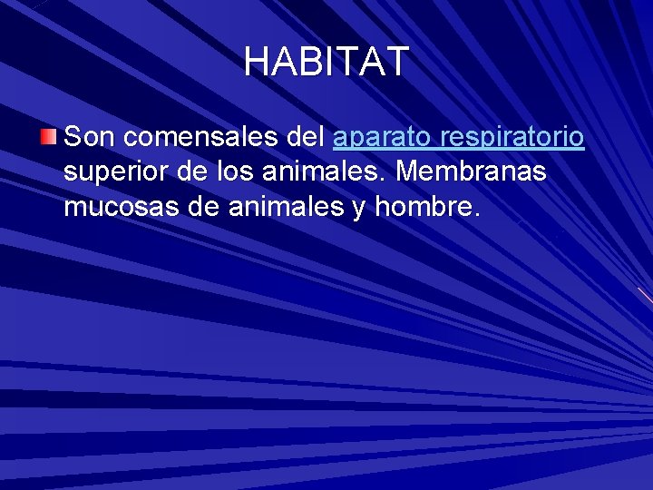 HABITAT Son comensales del aparato respiratorio superior de los animales. Membranas mucosas de animales