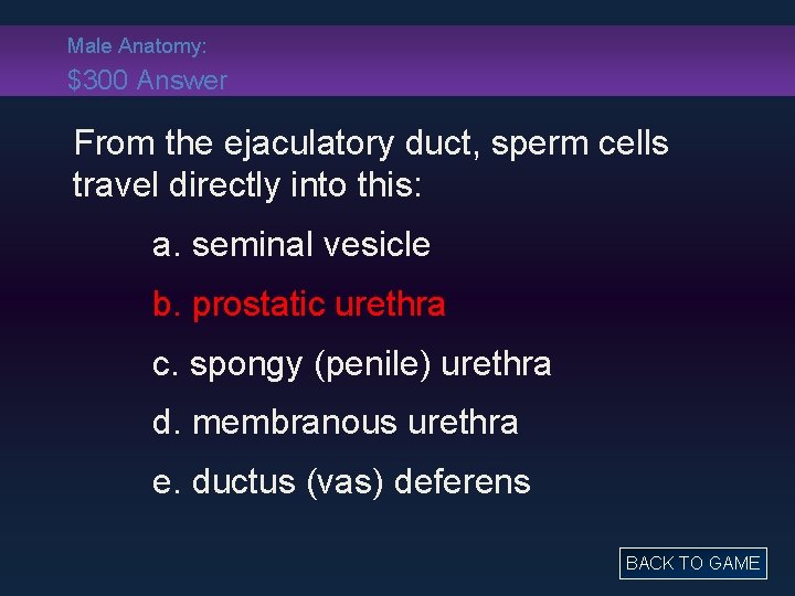 Male Anatomy: $300 Answer From the ejaculatory duct, sperm cells travel directly into this: