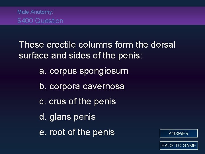 Male Anatomy: $400 Question These erectile columns form the dorsal surface and sides of