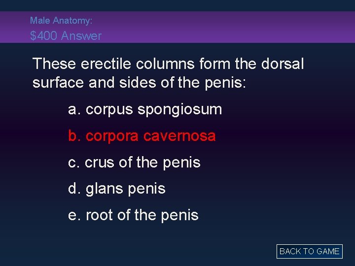 Male Anatomy: $400 Answer These erectile columns form the dorsal surface and sides of