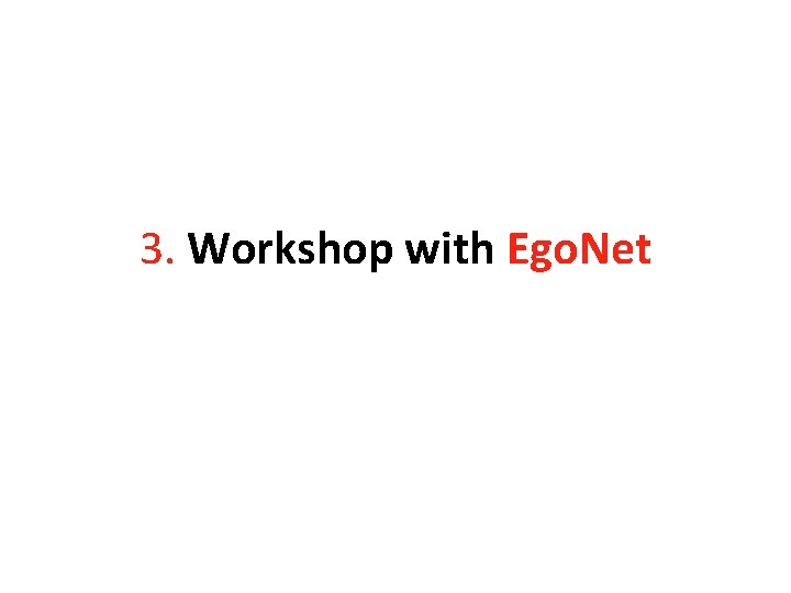 3. Workshop with Ego. Net 