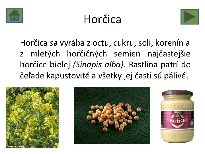 Horčica sa vyrába z octu, cukru, soli, korenín a z mletých horčičných semien najčastejšie