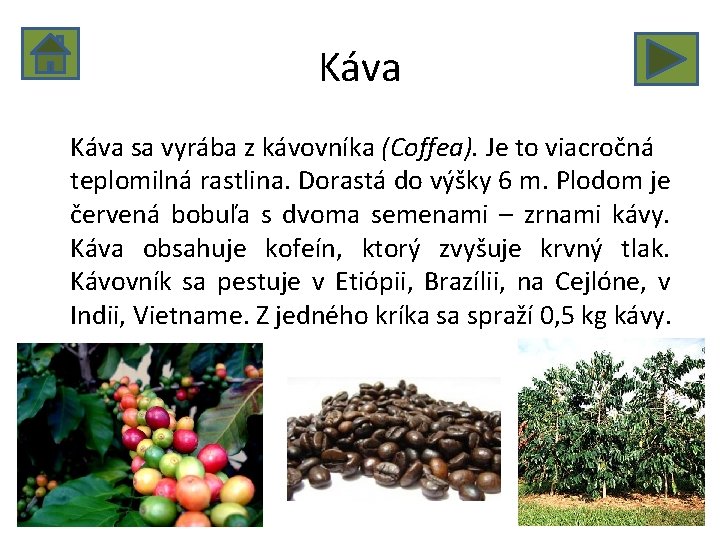 Káva sa vyrába z kávovníka (Coffea). Je to viacročná teplomilná rastlina. Dorastá do výšky