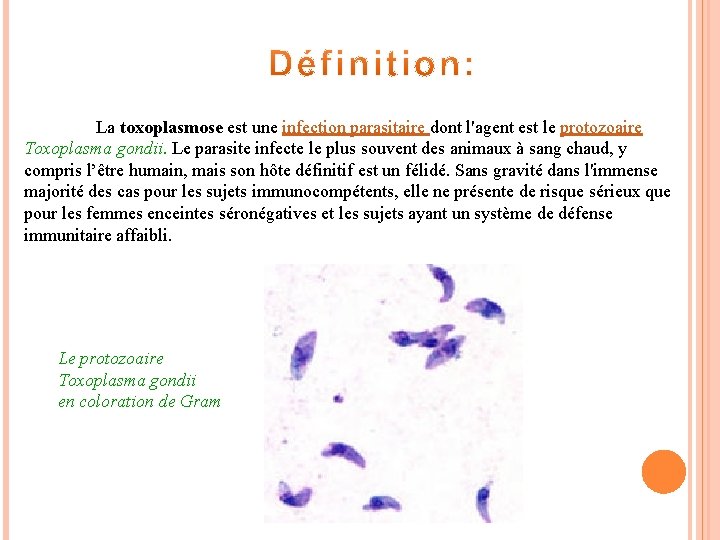 La toxoplasmose est une infection parasitaire dont l'agent est le protozoaire Toxoplasma gondii. Le