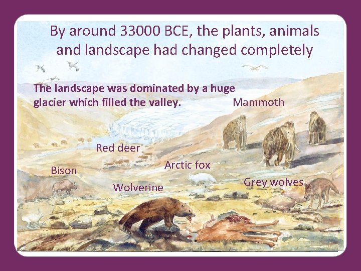 By around 33000 BCE, the plants, animals and landscape had changed completely The landscape
