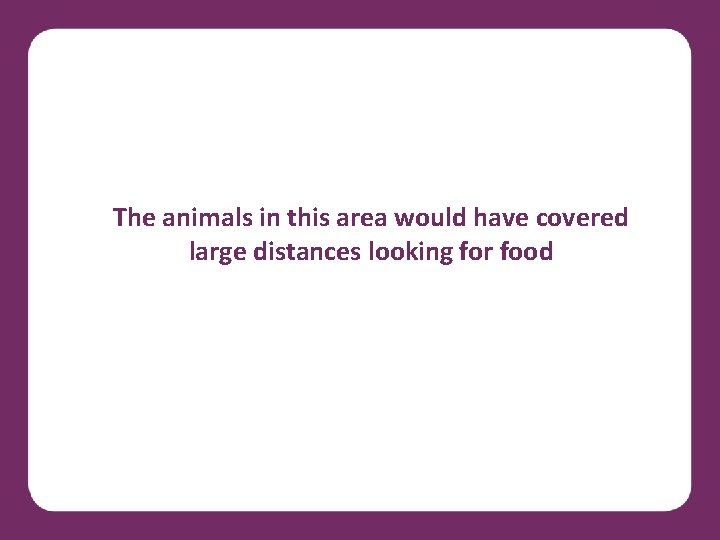 The animals in this area would have covered large distances looking for food 