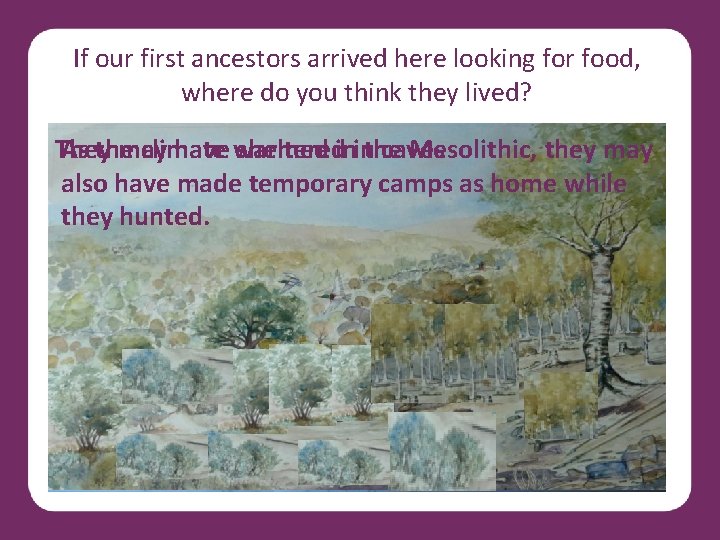 If our first ancestors arrived here looking for food, where do you think they