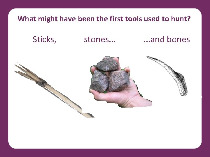 What might have been the first tools used to hunt? Sticks, stones. . .