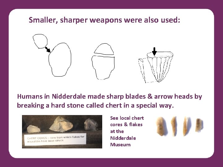 Smaller, sharper weapons were also used: Humans in Nidderdale made sharp blades & arrow