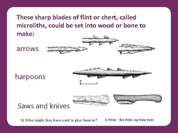 These sharp blades of flint or chert, called microliths, could be set into wood