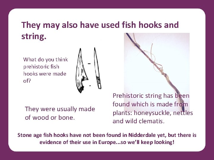 They may also have used fish hooks and string. What do you think prehistoric