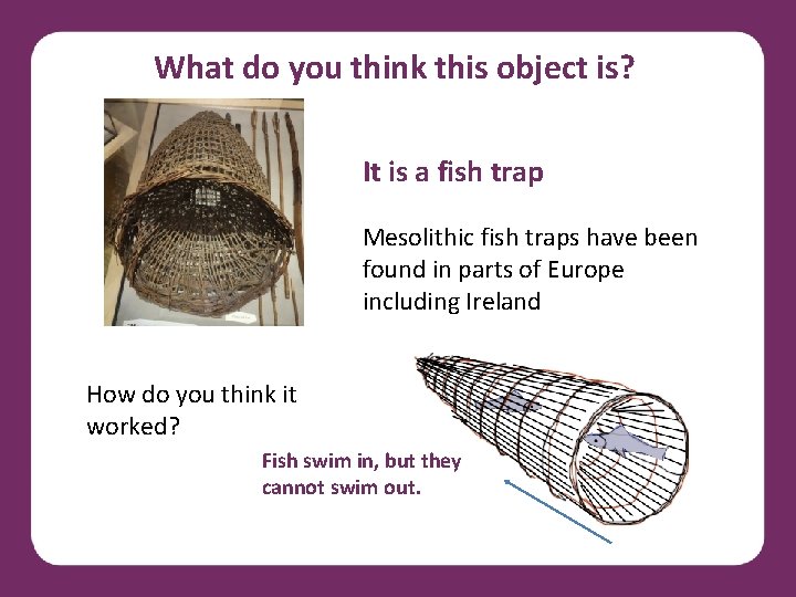 What do you think this object is? It is a fish trap Mesolithic fish