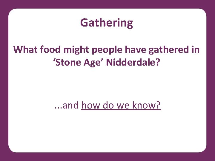 Gathering What food might people have gathered in ‘Stone Age’ Nidderdale? . . .