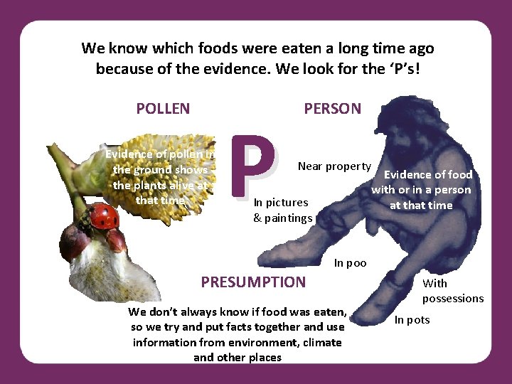 We know which foods were eaten a long time ago because of the evidence.