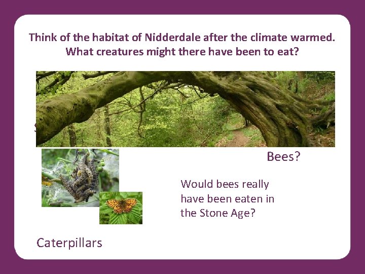 Think of the habitat of Nidderdale after the climate warmed. What creatures might there