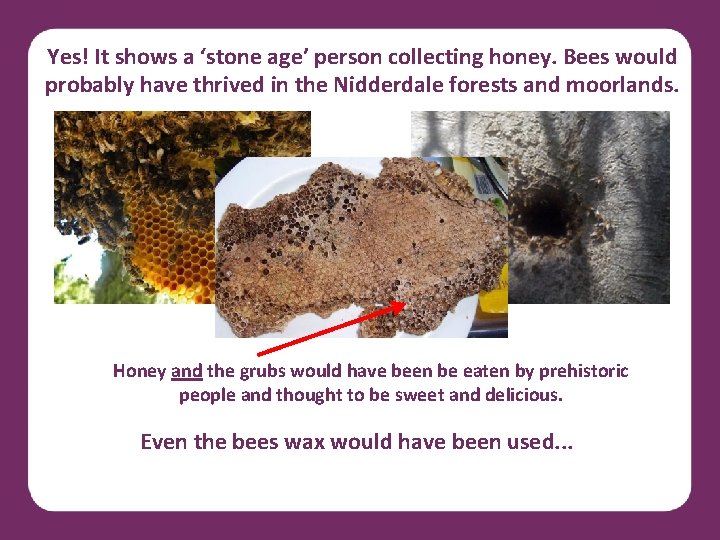 Yes! It shows a ‘stone age’ person collecting honey. Bees would probably have thrived