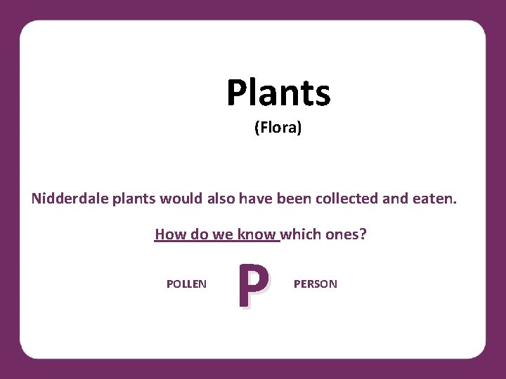 Plants (Flora) Nidderdale plants would also have been collected and eaten. How do we