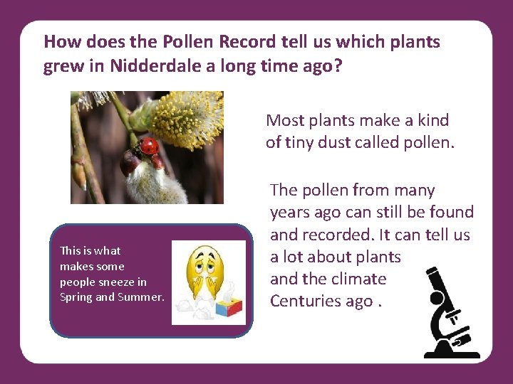 How does the Pollen Record tell us which plants grew in Nidderdale a long