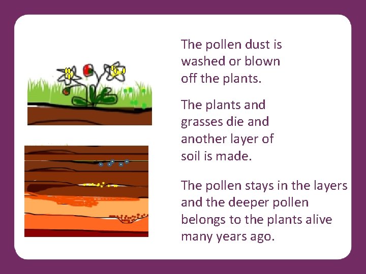 The pollen dust is washed or blown off the plants. The plants and grasses