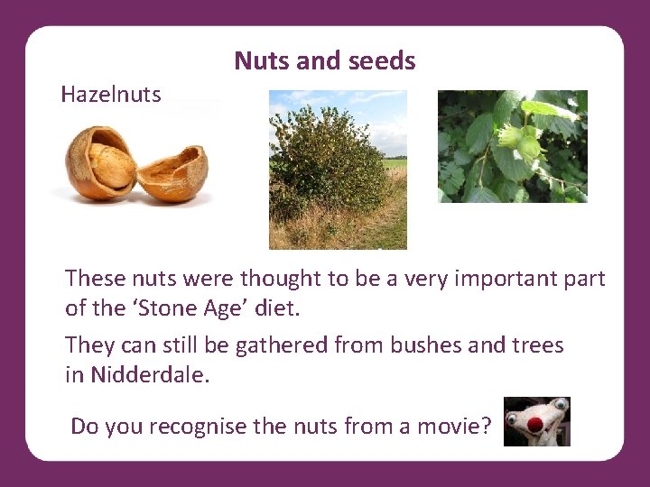 Nuts and seeds Hazelnuts These nuts were thought to be a very important part