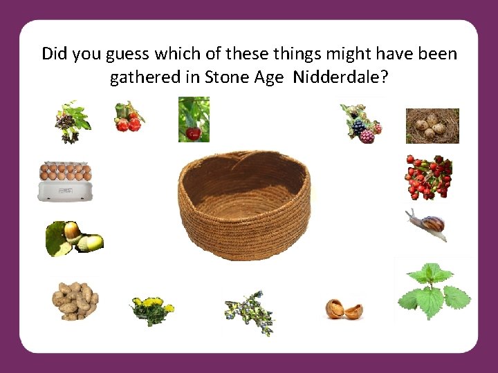 Did you guess which of these things might have been gathered in Stone Age