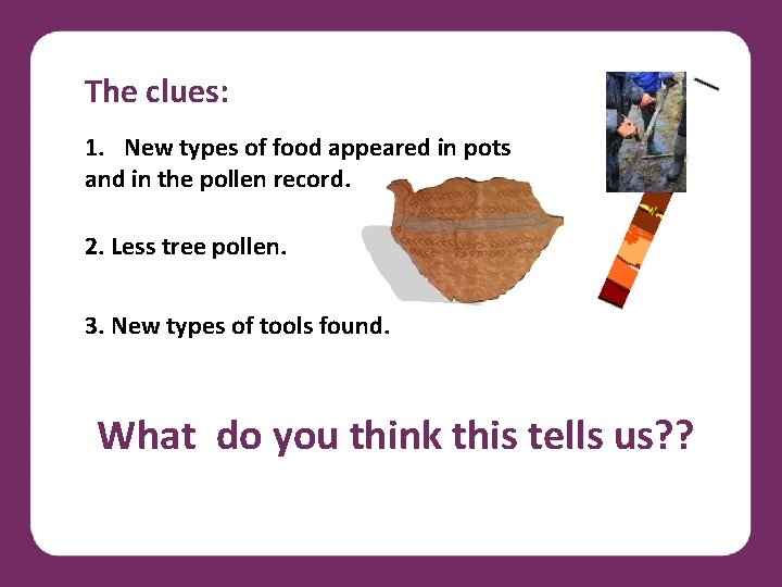 The clues: 1. New types of food appeared in pots and in the pollen