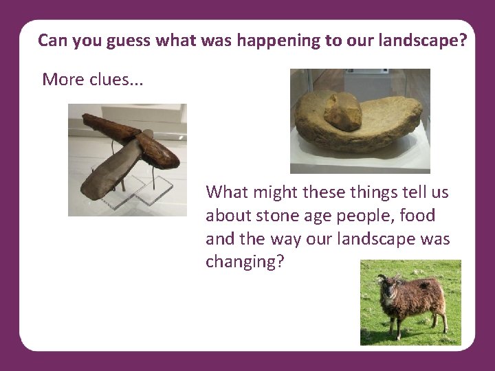 Can you guess what was happening to our landscape? More clues. . . What