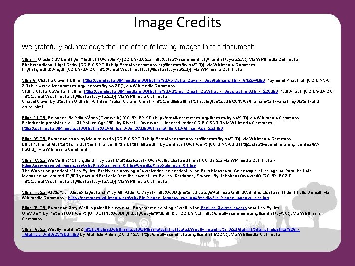 Image Credits We gratefully acknowledge the use of the following images in this document: