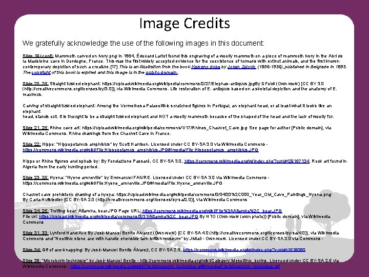 Image Credits We gratefully acknowledge the use of the following images in this document: