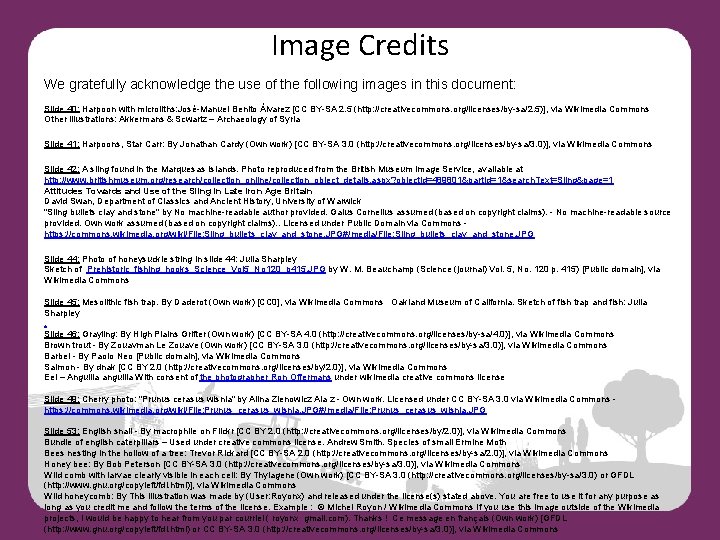 Image Credits We gratefully acknowledge the use of the following images in this document: