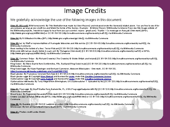 Image Credits We gratefully acknowledge the use of the following images in this document: