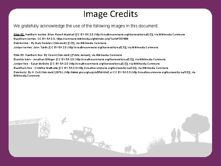 Image Credits We gratefully acknowledge the use of the following images in this document: