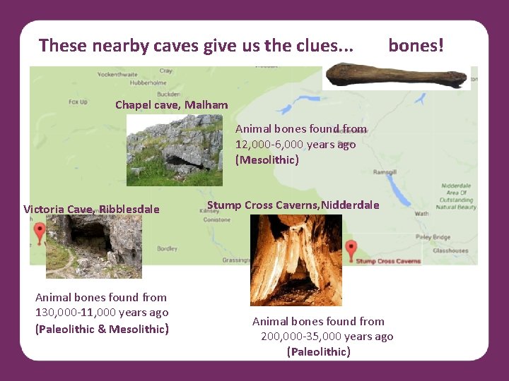 These nearby caves give us the clues. . . bones! Chapel cave, Malham Animal