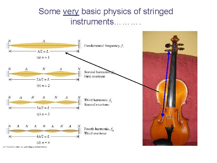 Some very basic physics of stringed instruments………. 