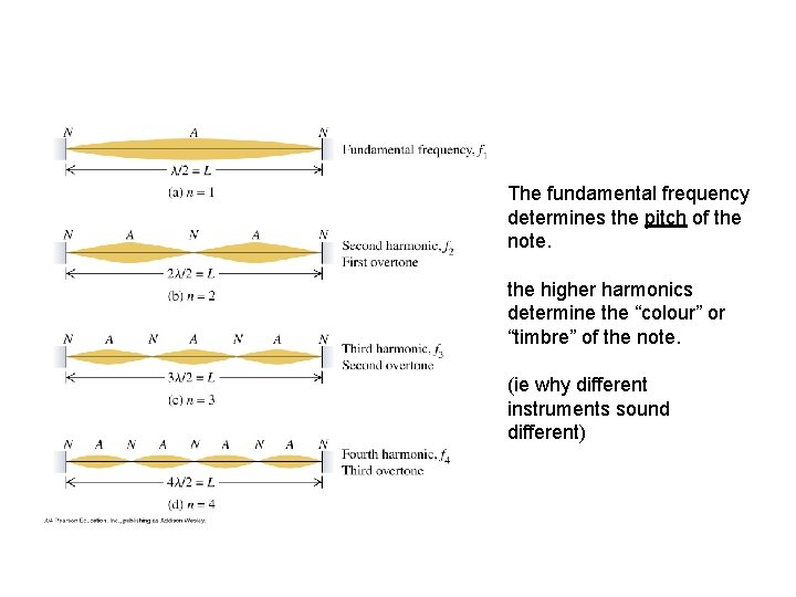 The fundamental frequency determines the pitch of the note. the higher harmonics determine the