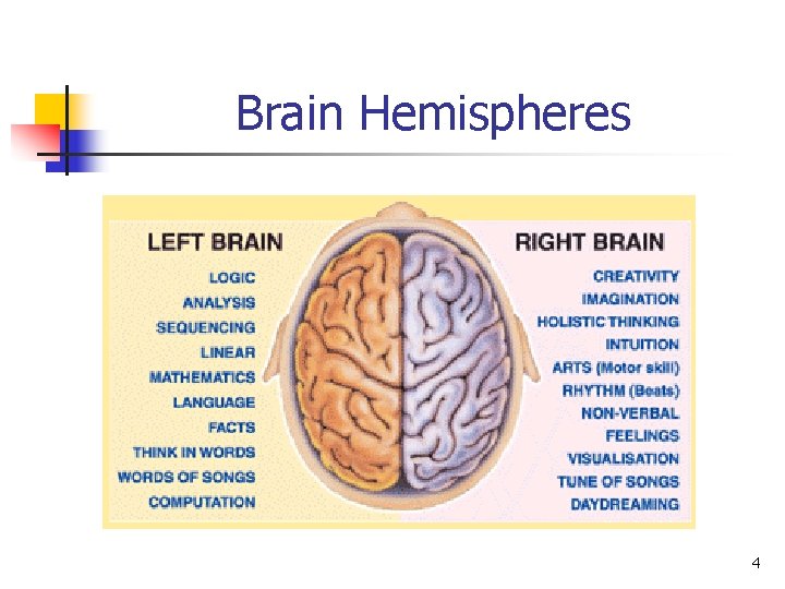 Brain Hemispheres 4 