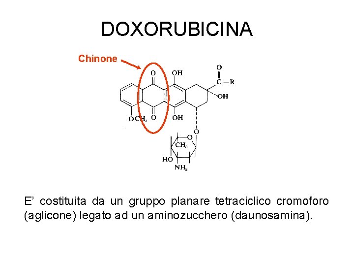 DOXORUBICINA Chinone E’ costituita da un gruppo planare tetraciclico cromoforo (aglicone) legato ad un