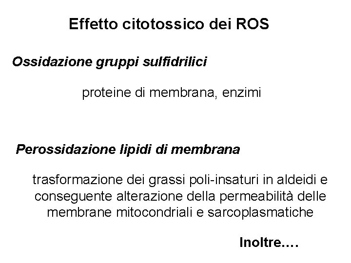 Effetto citotossico dei ROS Ossidazione gruppi sulfidrilici proteine di membrana, enzimi Perossidazione lipidi di