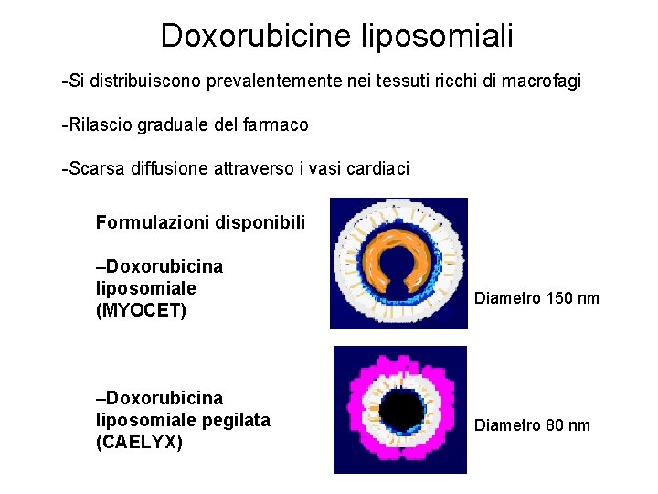 Doxorubicine liposomiali -Si distribuiscono prevalentemente nei tessuti ricchi di macrofagi -Rilascio graduale del farmaco