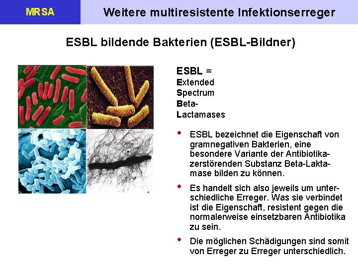 MRSA Weitere multiresistente Infektionserreger ESBL bildende Bakterien (ESBL-Bildner) ESBL = Extended Spectrum Beta. Lactamases