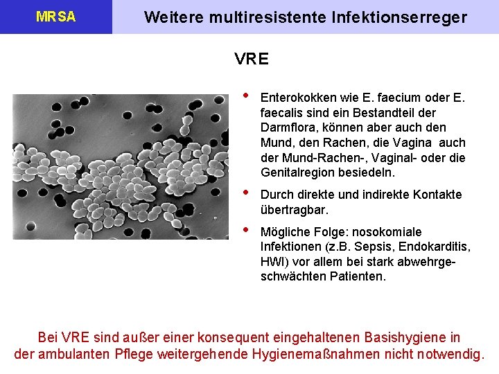 MRSA Weitere multiresistente Infektionserreger VRE • Enterokokken wie E. faecium oder E. faecalis sind