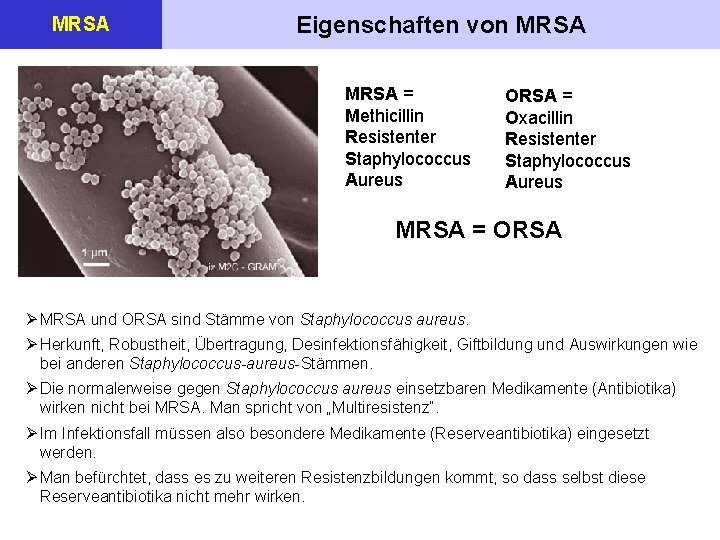 MRSA Eigenschaften von MRSA = Methicillin Resistenter Staphylococcus Aureus ORSA = Oxacillin Resistenter Staphylococcus